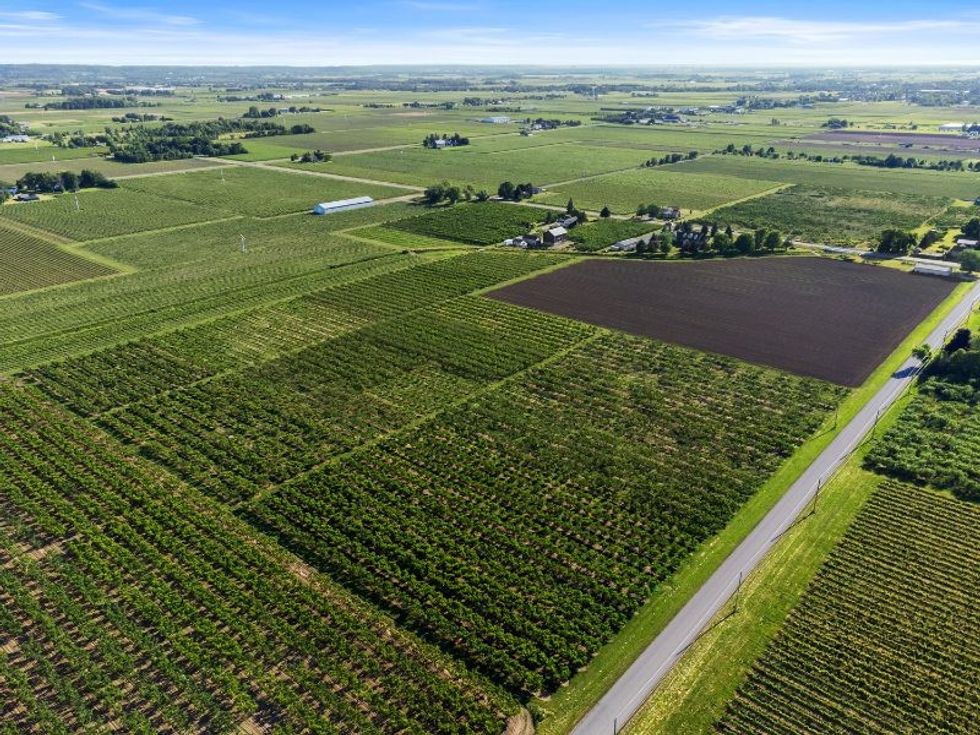 060 060 1581 concession 2 rd matt vardy