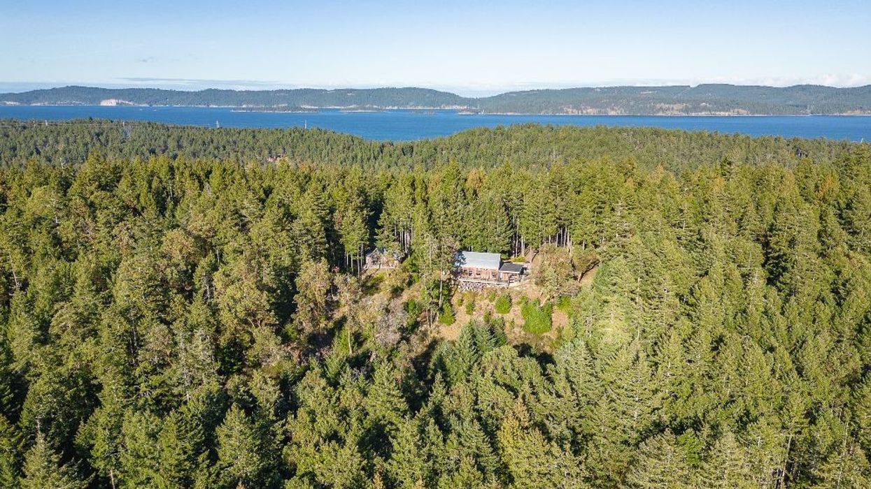 241 Little Mountain Road - Salt Spring Island - Secluded Treehouse Home