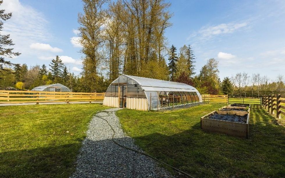 45223894print edited