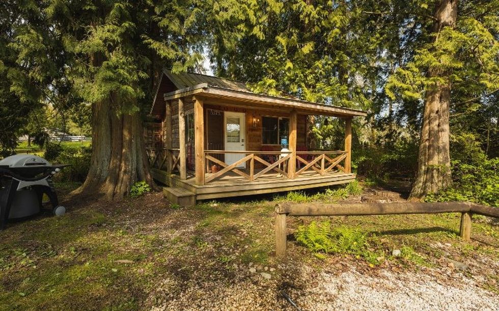 45223896print edited