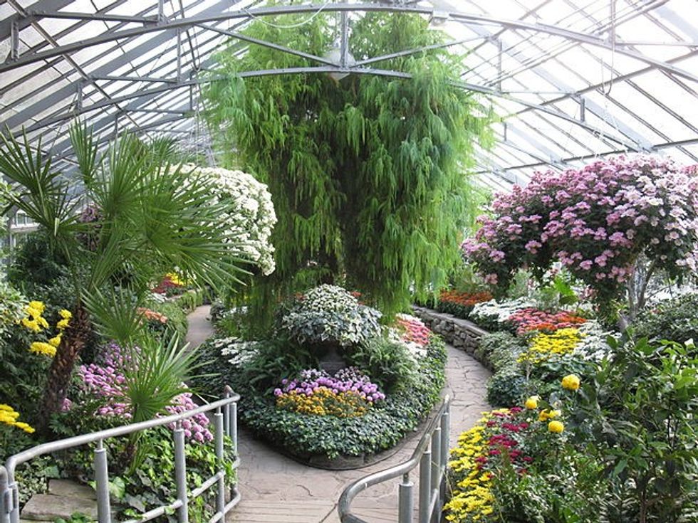 640px fall show at allan gardens 2009