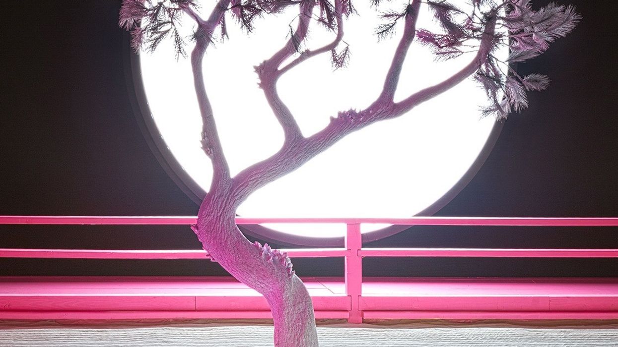 71533414 10156224771867186 1683657296342679552 o