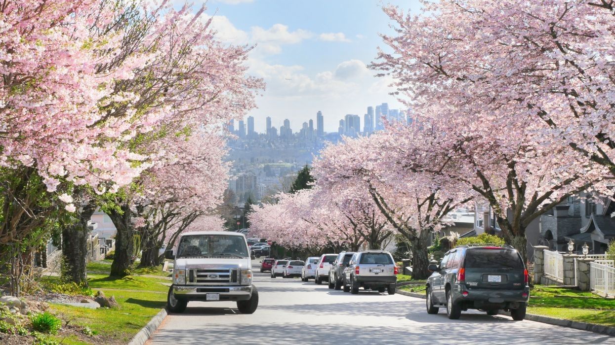A residential street in Burnaby.