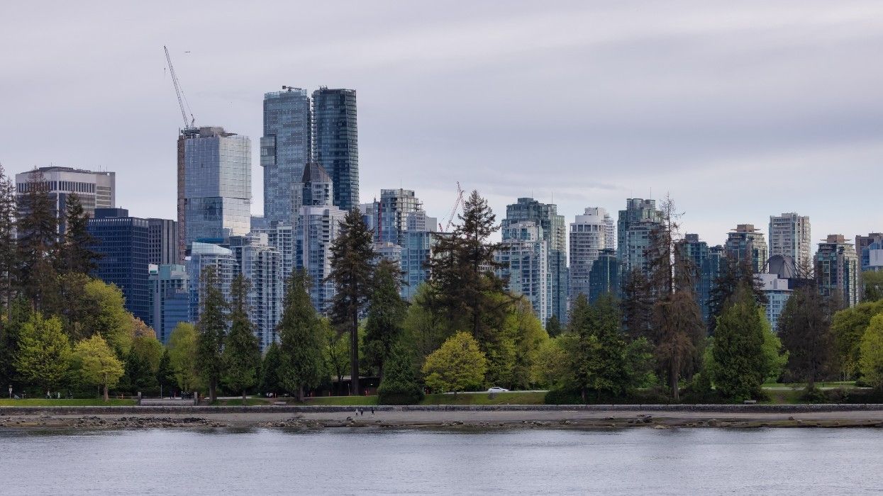 A row of high-rise buildings behind a row of trees in Vancouver.