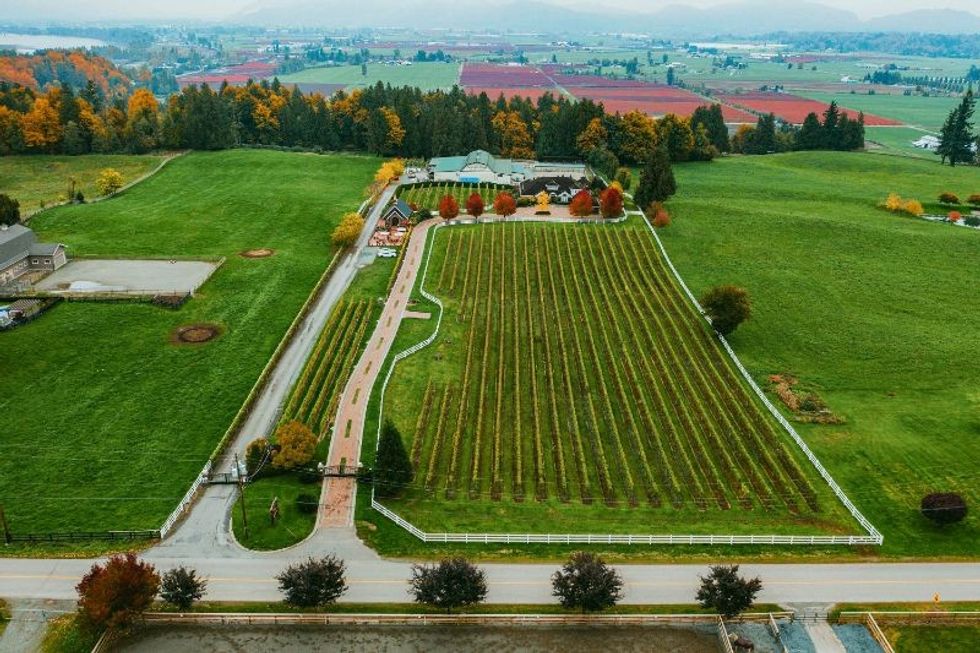 Abbotsford seaside park farmgate winery 5