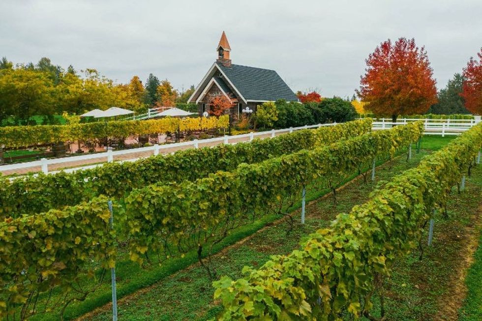 Abbotsford seaside park farmgate winery 6