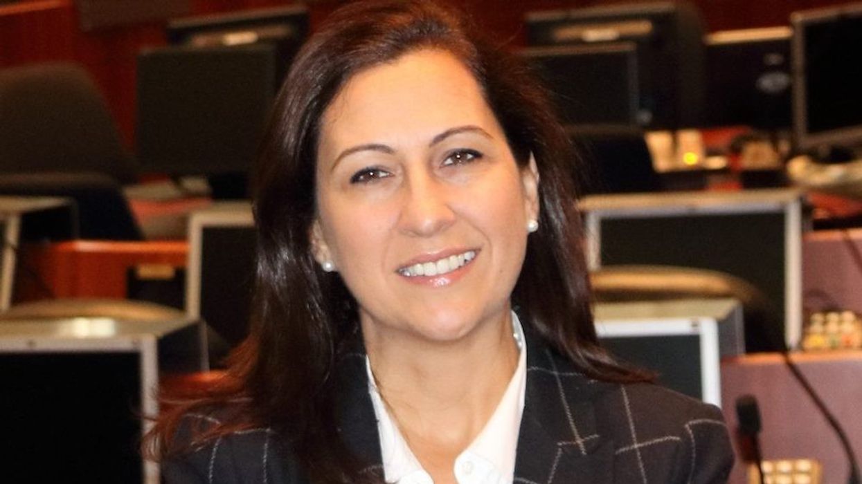 Ana new photo 1024x1024 1