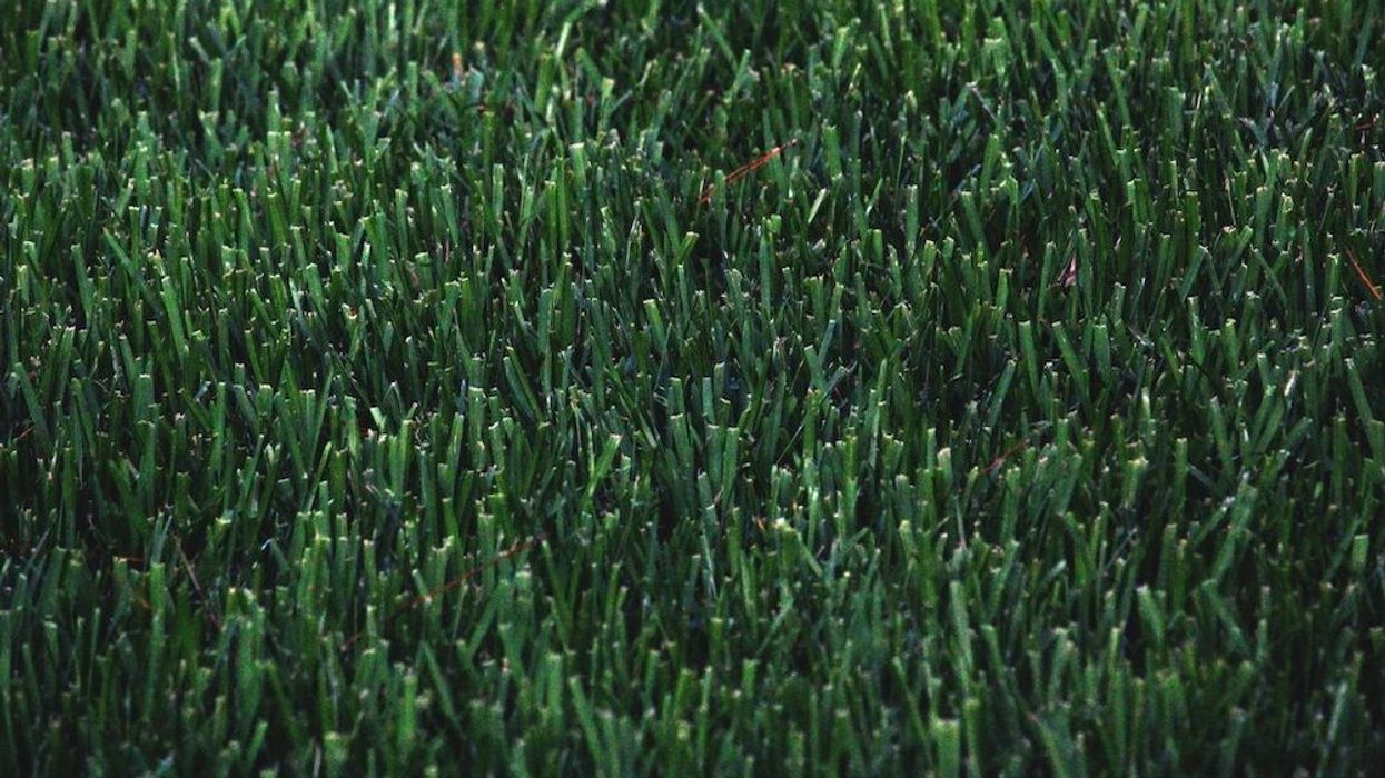 artificial turf