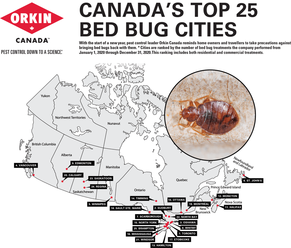 Bed bug canada cities 2020 v2 min 2048x1751 1