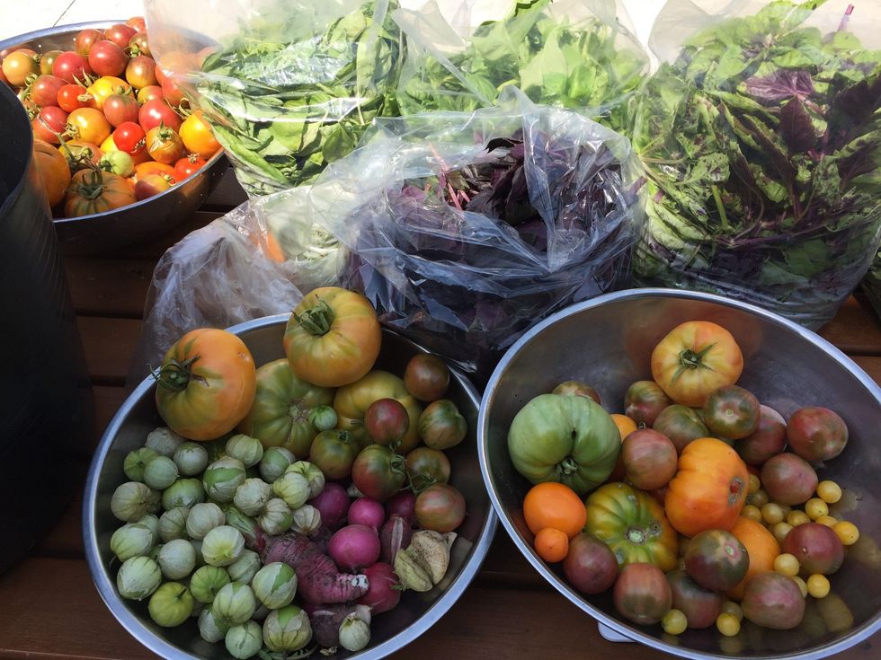 Boweryprojecturbanfarm scaled 1