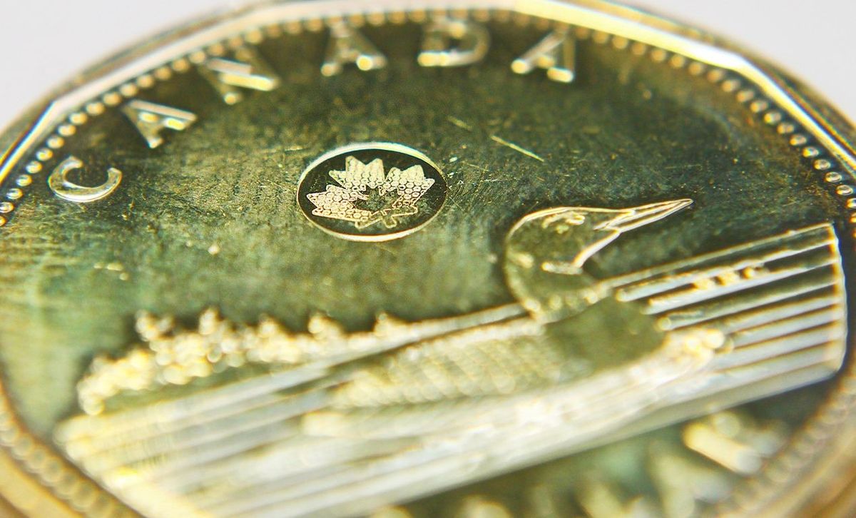 Canadian Dollar Store gadgets