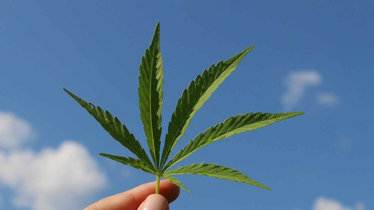 Cannabis real estate