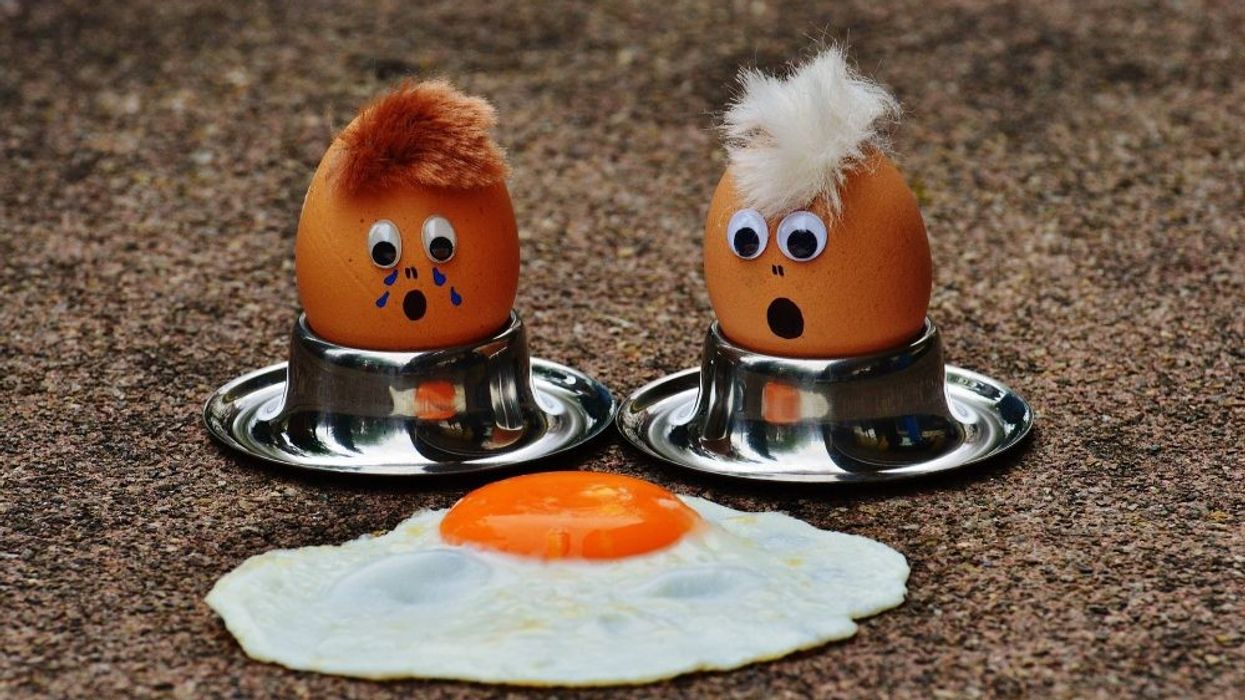 egg