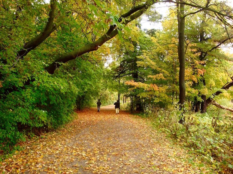 Etobicoke creek trail at centennial park
