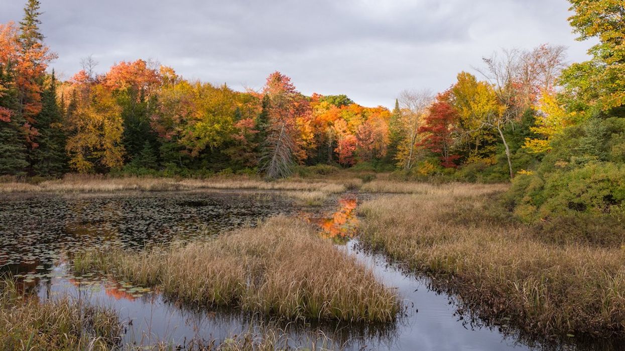 Ford Legislation Wetlands