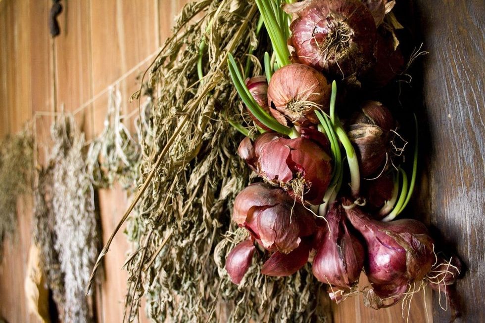gardening-for-the-winter-dried-herbs