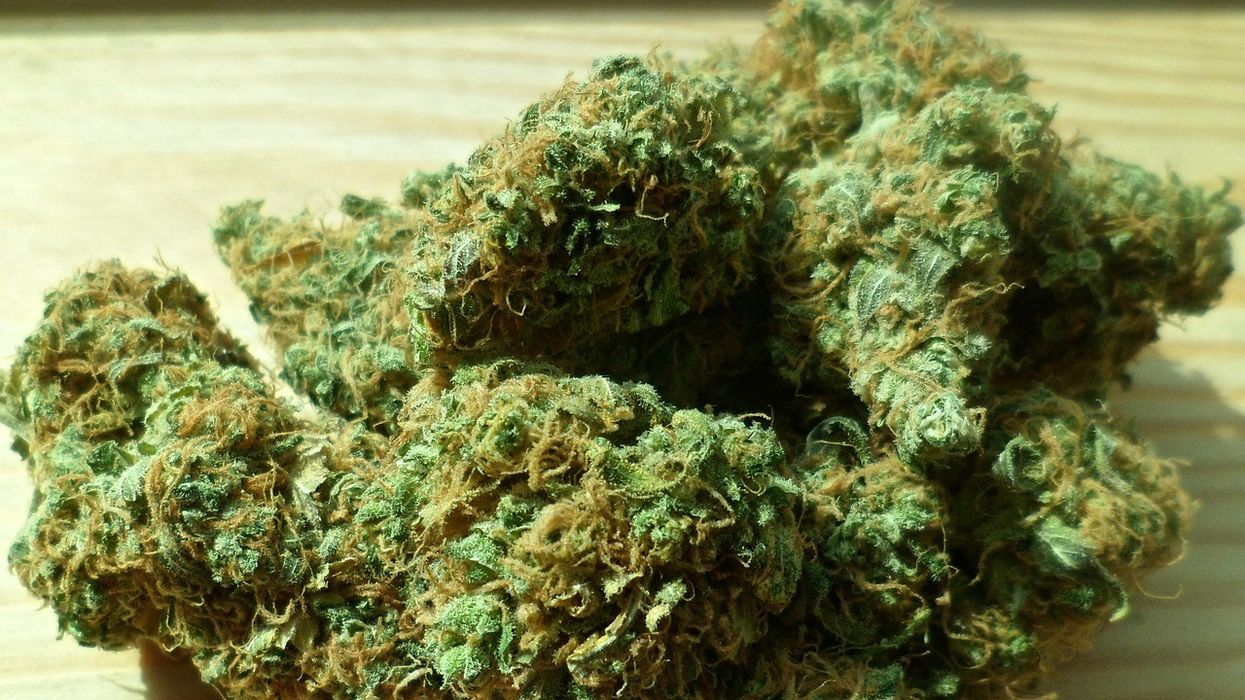 grow pot