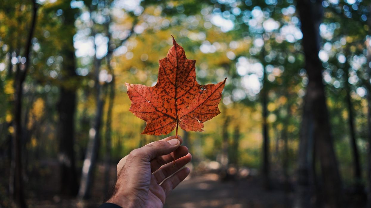 Guillaume jaillet eiwcd0414xq unsplash scaled