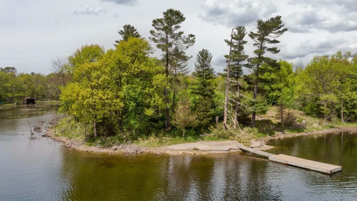 Lush Two-Parcel Land Listing Hits Market In Honey Harbour