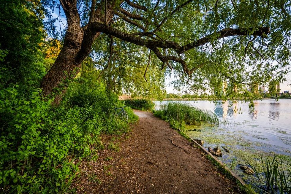 High park grenadier pond