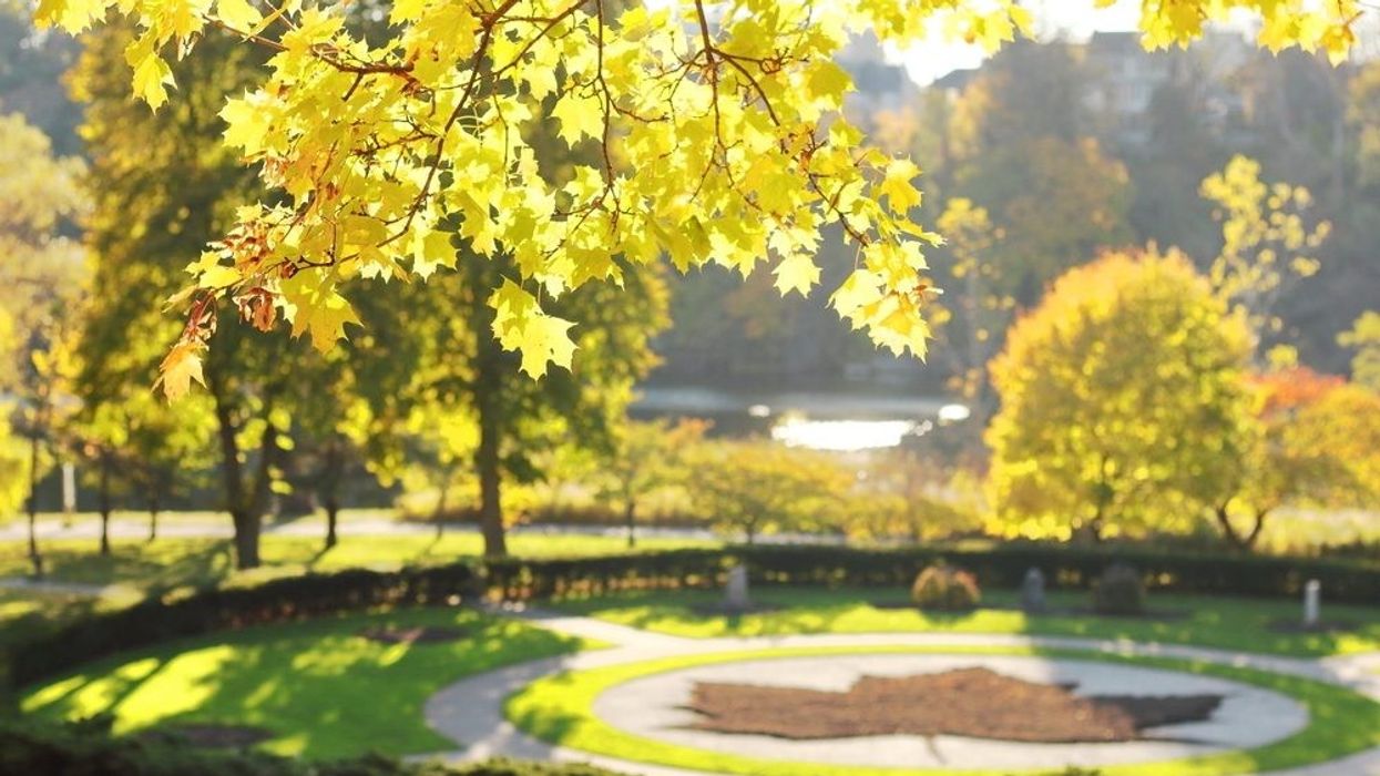 High Park