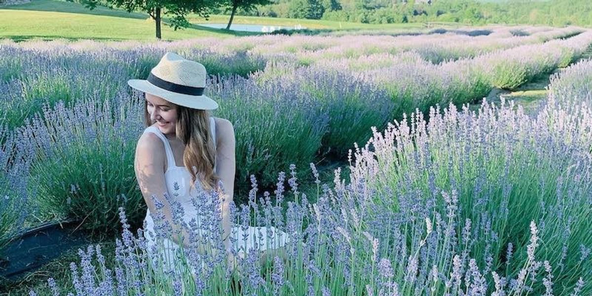 Visit a Stunning Georgian Bay Lavender Farm On the Way to the Cottage