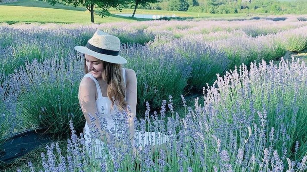 Visit a Stunning Georgian Bay Lavender Farm On the Way to the Cottage