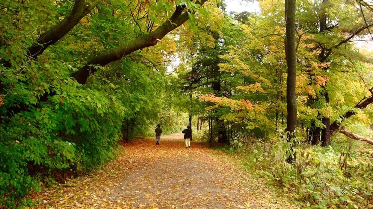 Toronto Condos Could Get More Expensive After City Decision On Parkland