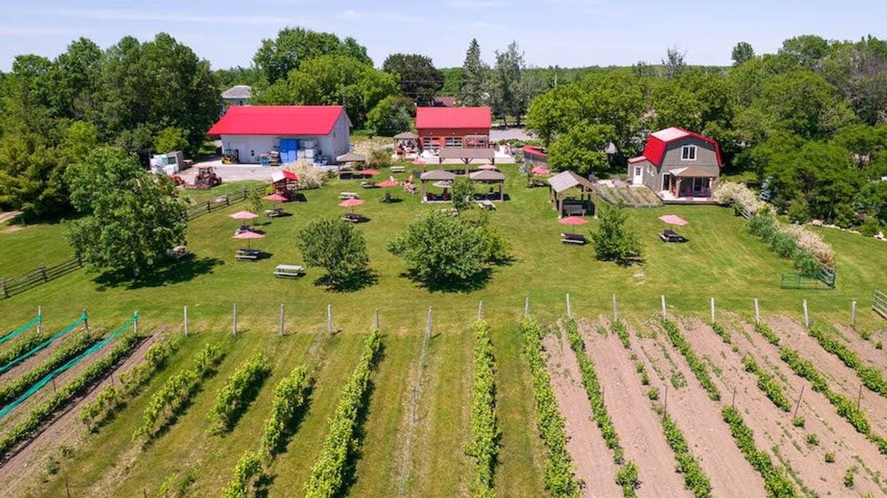 The Glass is Always Half Full: This 101-Acre PEC Winery Could Be Yours