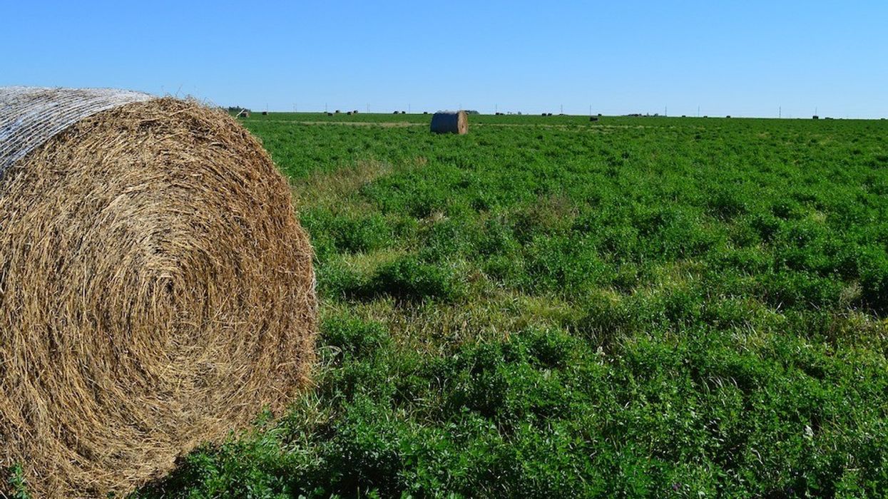 Saskatchewan's Farmland is Becoming More Valuable