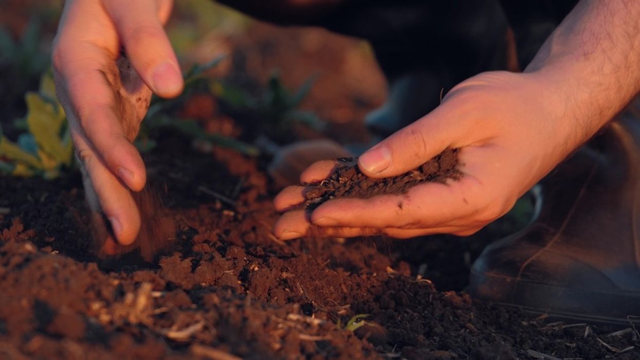 Soil Conditions