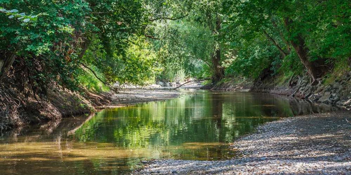 Riparian Rights – Definition, Meaning, and Examples