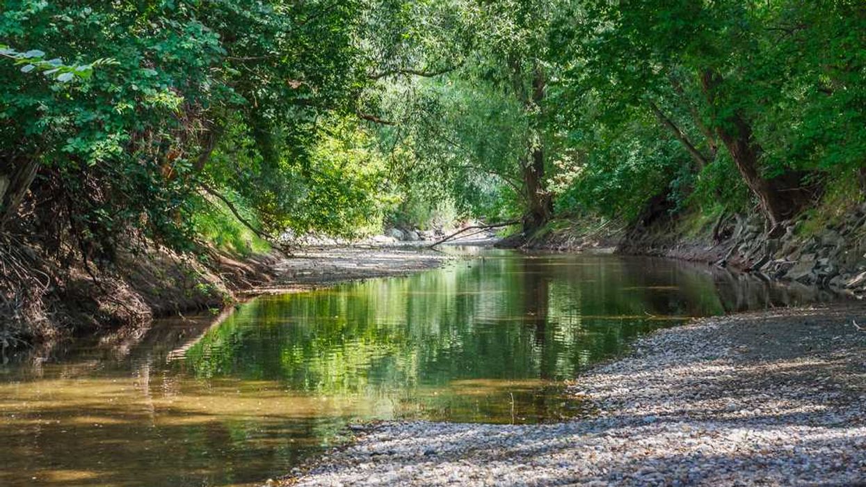 Riparian Rights