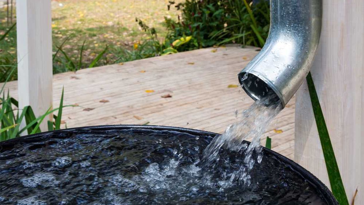 Rainwater Harvesting System