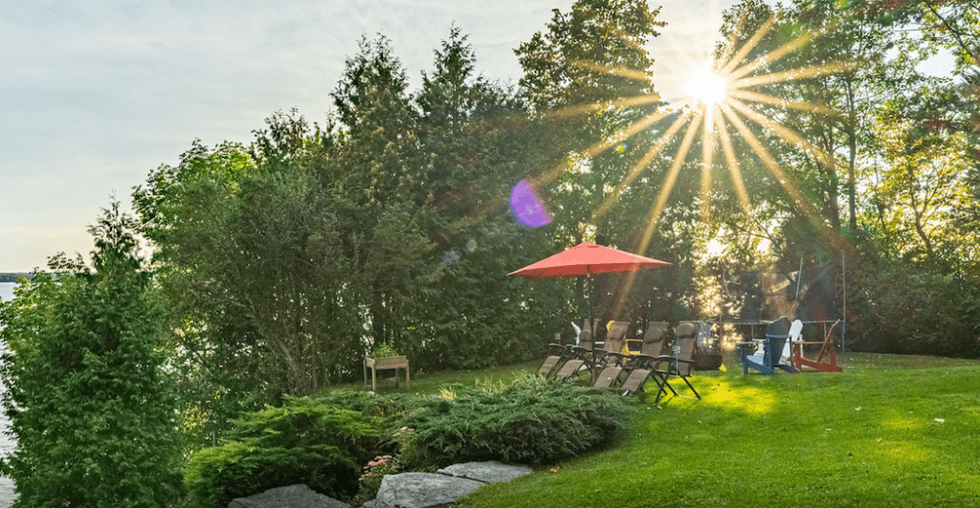 Ivy lane lawn 1024x531