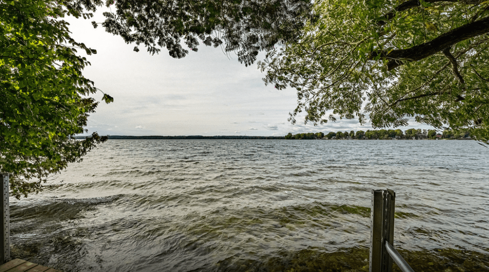 Ivy lane shoreline 1024x571