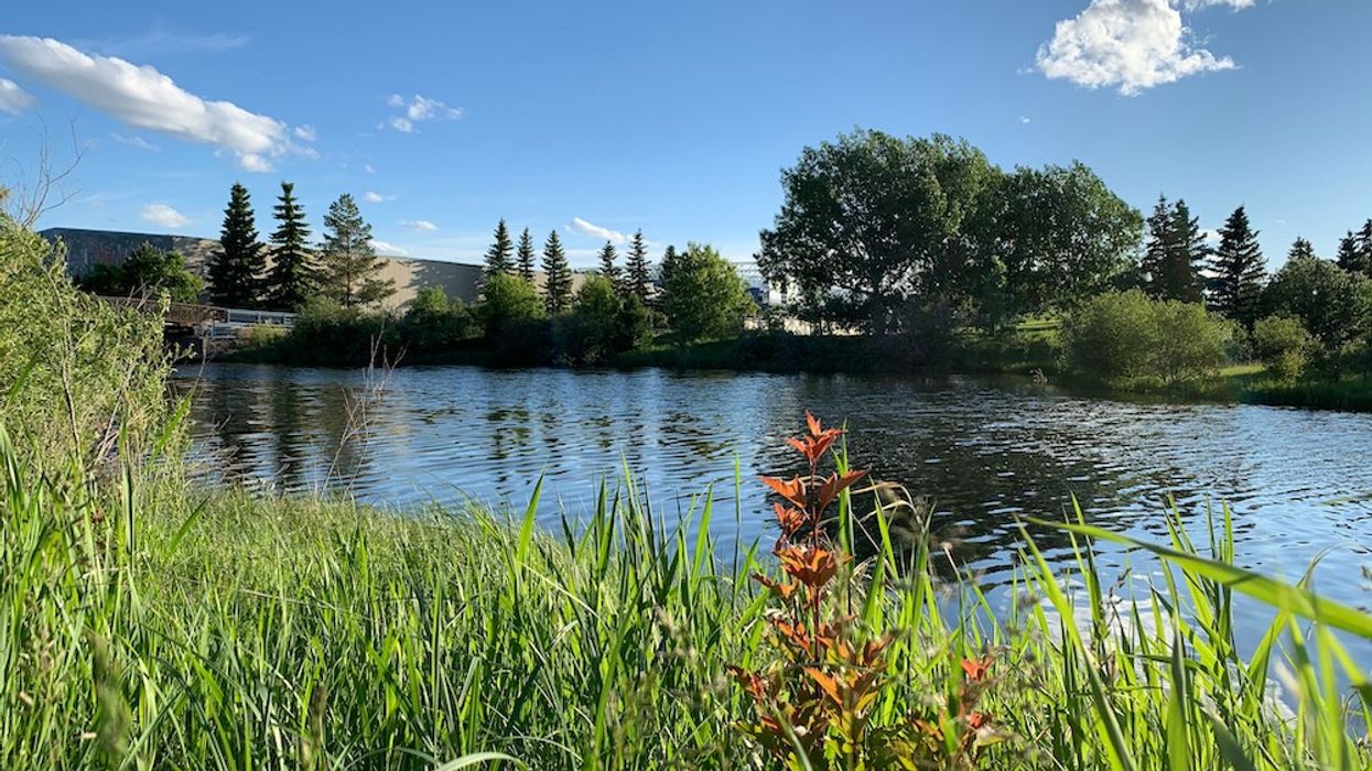 Country Calling: Get To Know Sherwood Park, A Beloved Alberta Hamlet