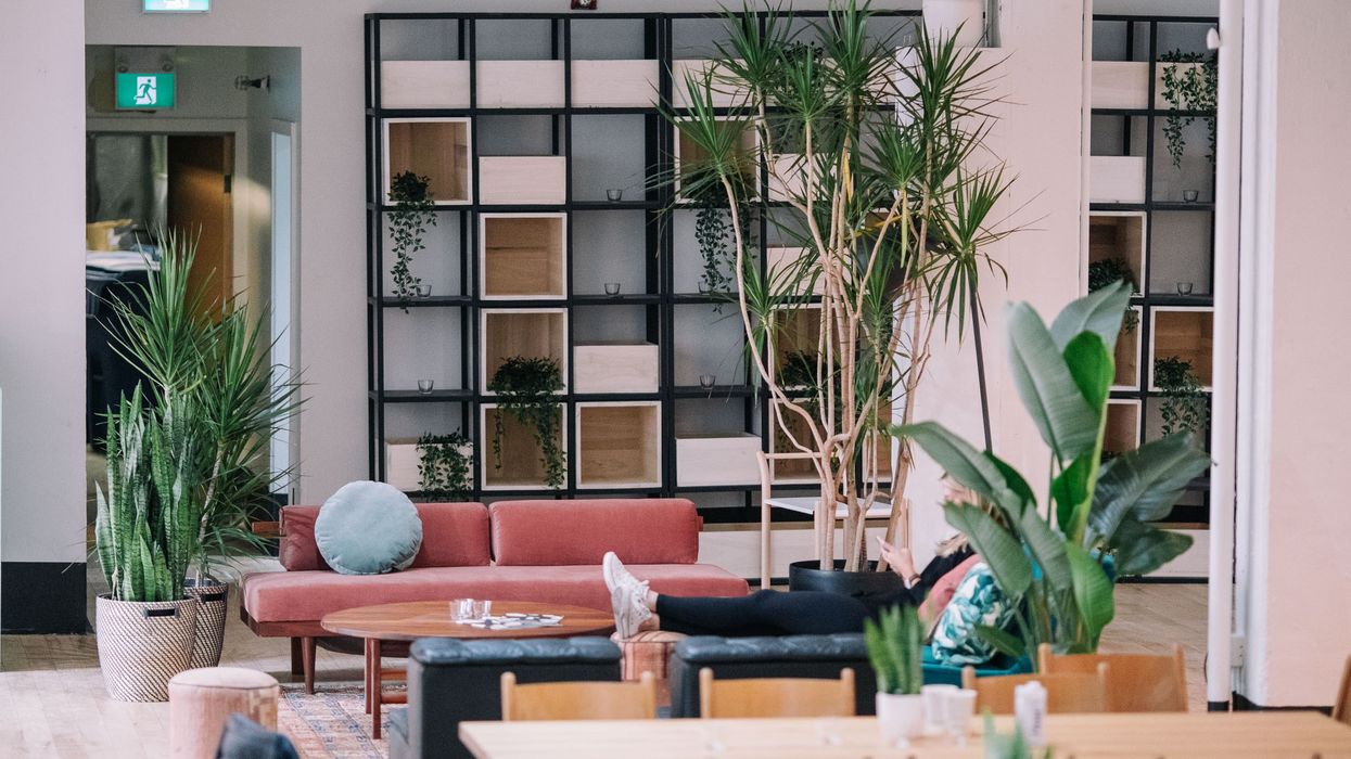 Love Child Social House