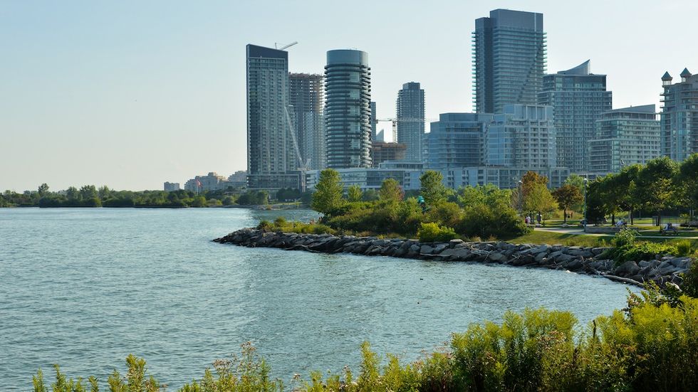 mimico