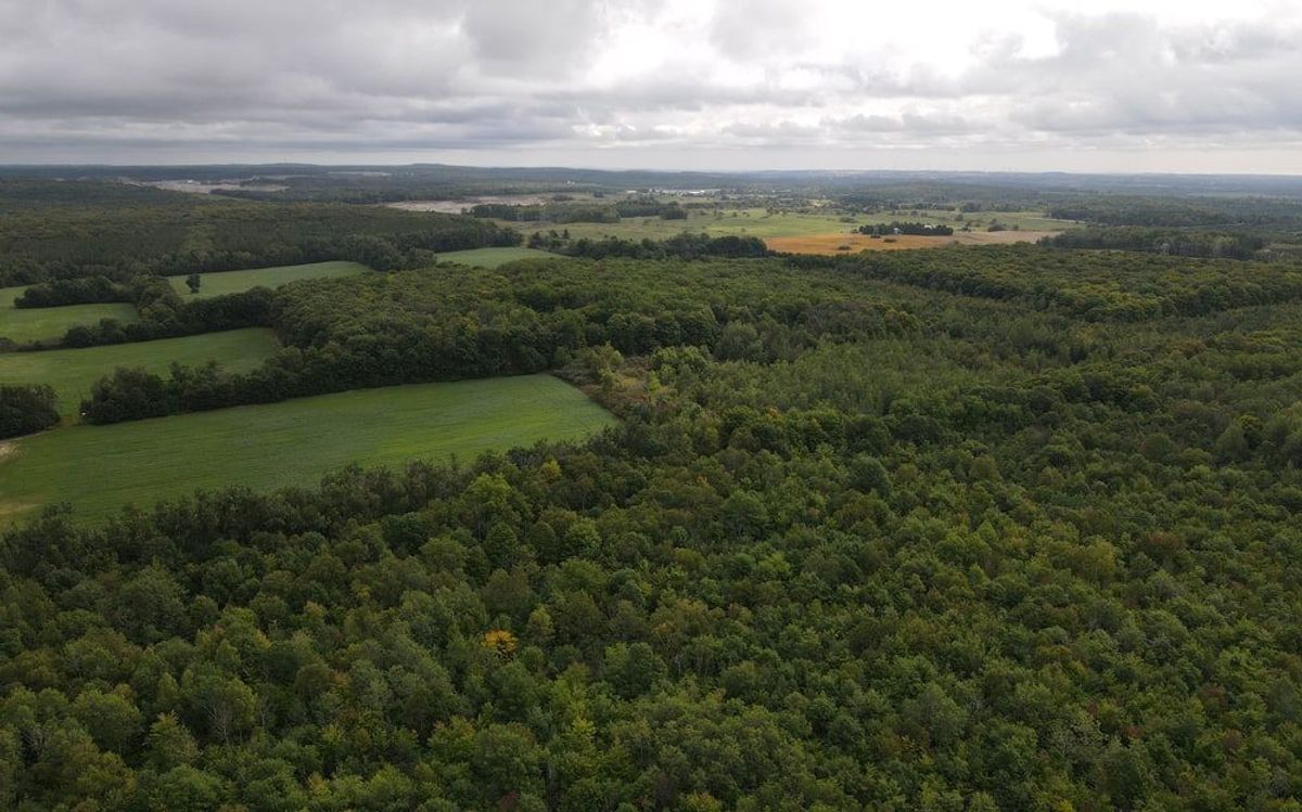 Ontario urban provincial park