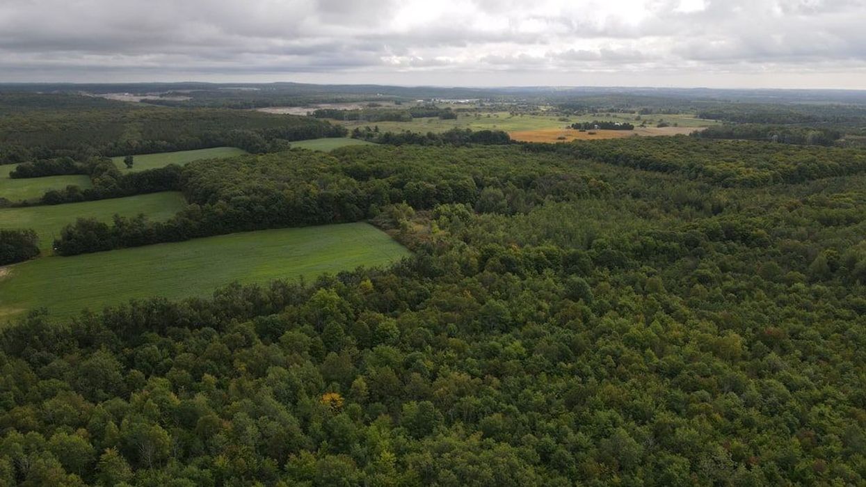 Ontario urban provincial park