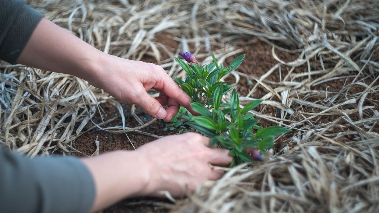 Outdoor Living Space
