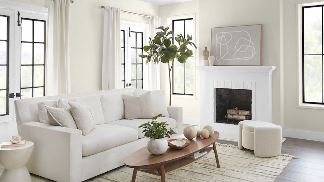 paint colour of the year beige