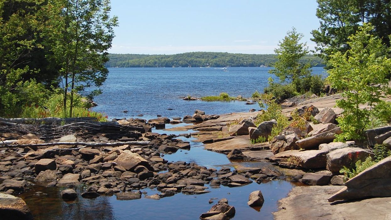 GTA Residents Can Now Take GO Transit To Cottage Country