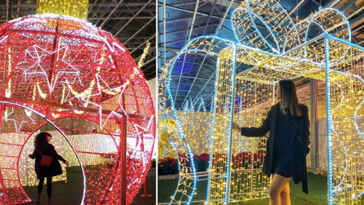 Toronto Will Experience Messy Wintry Weather This Weekend