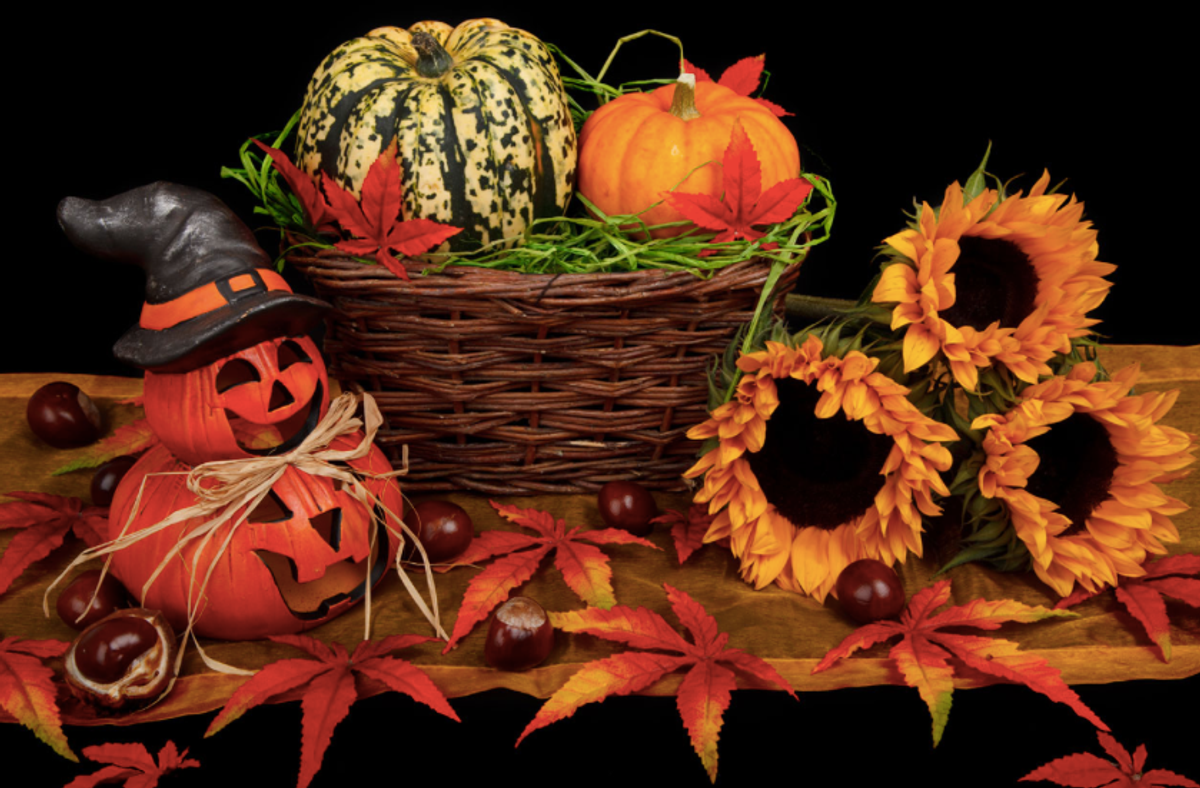 Go Ahead, Show Your House On Halloween But Lose The Gore