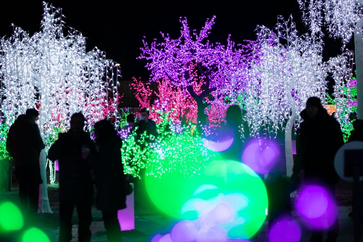 10 Things You Should Know About The Aurora Winter Festival