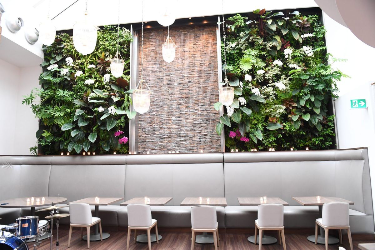 Sassafraz Reimagined: A Historic Toronto Venue Gets A Modern Facelift