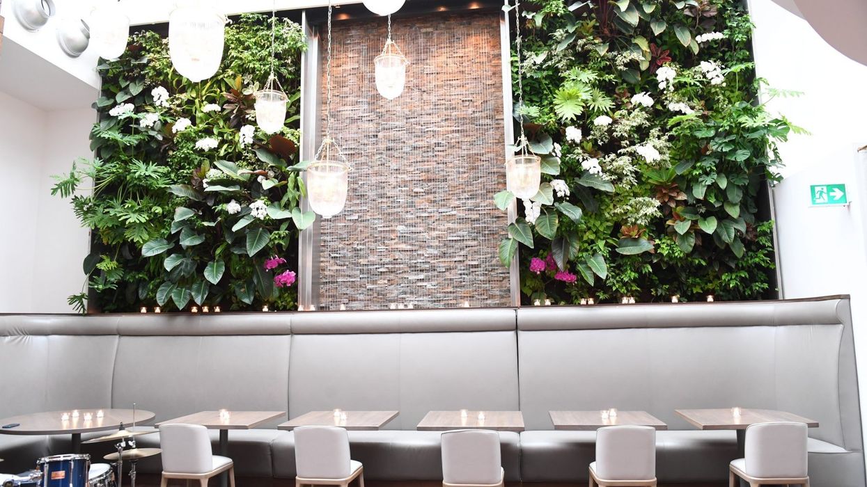 Sassafraz Reimagined: A Historic Toronto Venue Gets A Modern Facelift