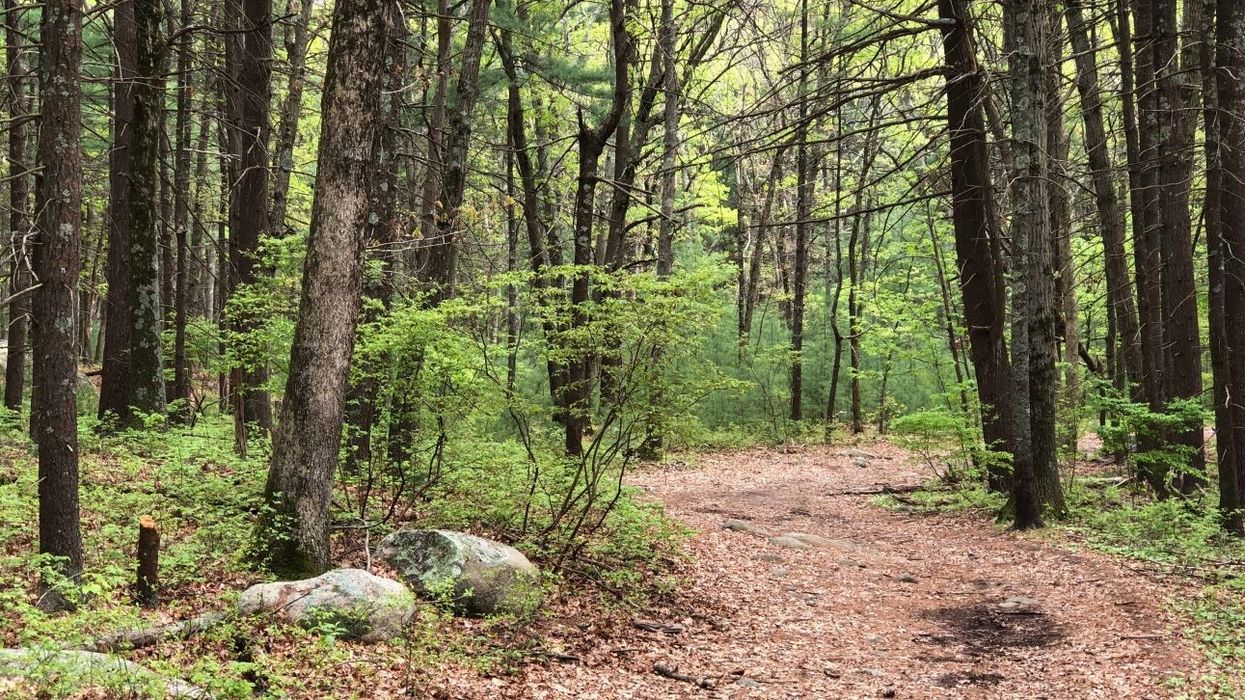 Rouge National Urban Park Free Shuttle